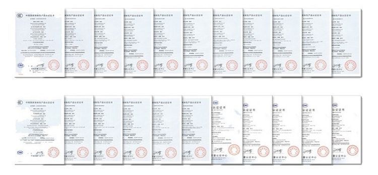 huanwanggui10(001)